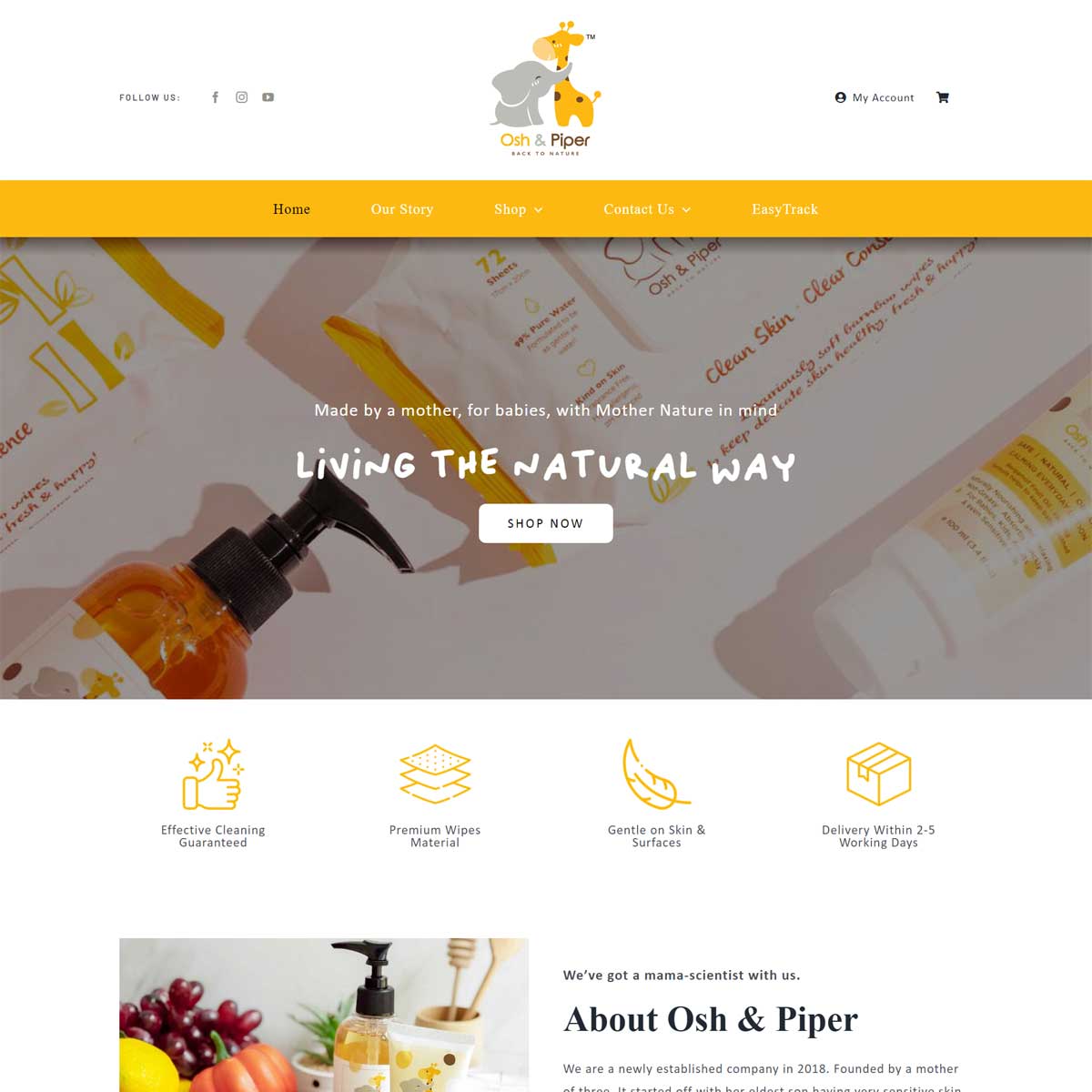 JB Web Design Osh & Piper Preview