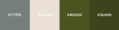 JB Web Design Portfolio PurePare Palette