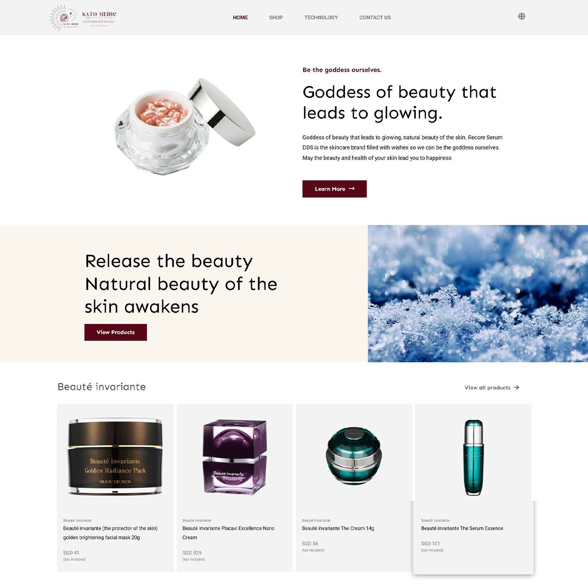 JB Web Design Satomedic Preview